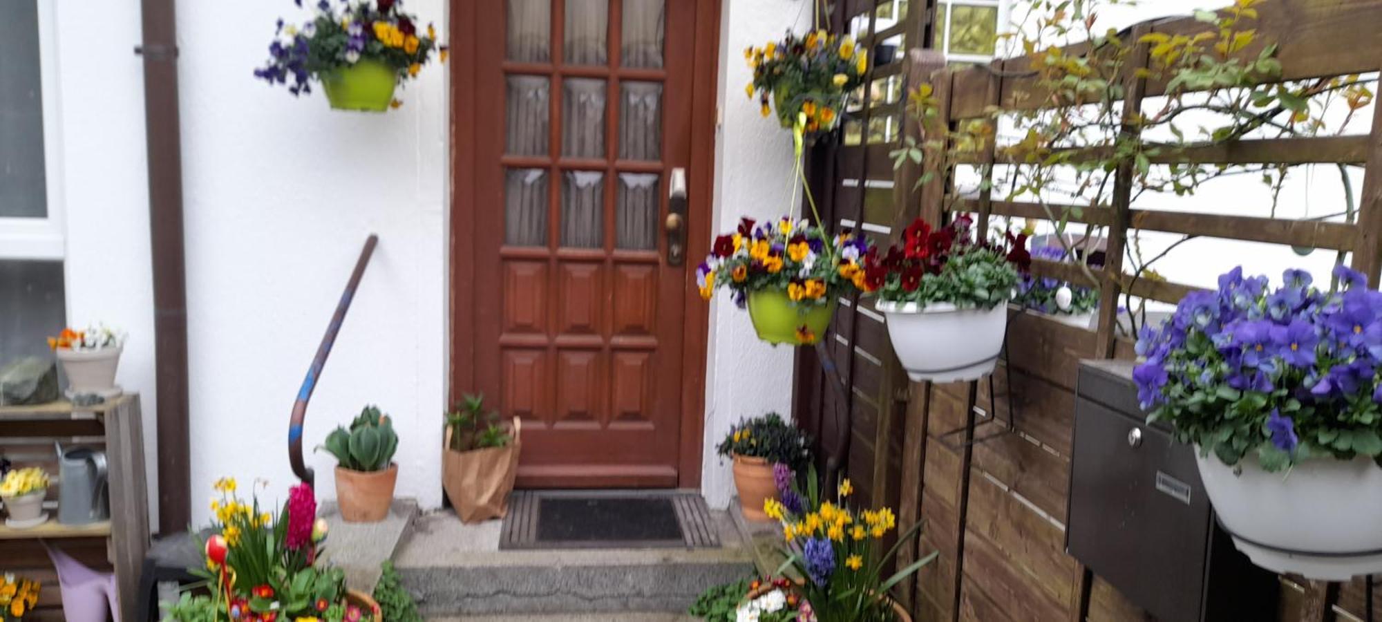 Apartment Entenhausen *
